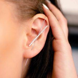 Silver Sellebrity Ear Hook
